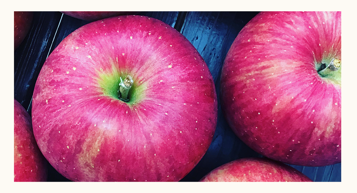 Fruits Shop 鈴木屋