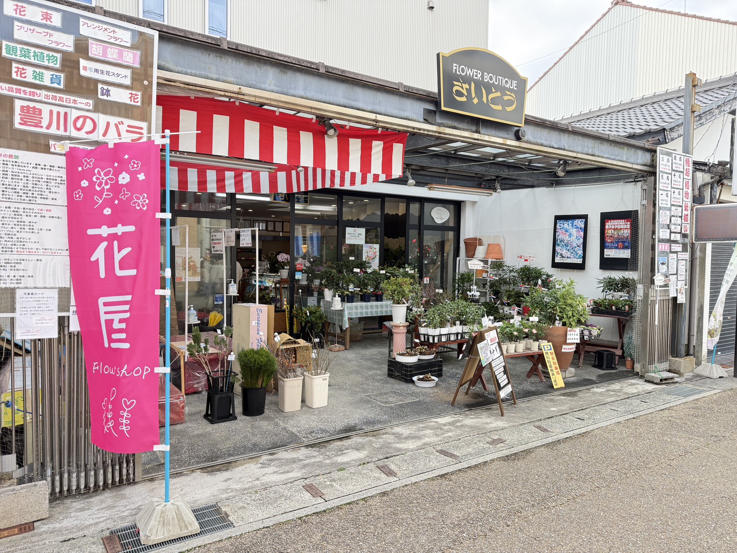 ﾌﾗﾜｰﾌﾞﾃｨｯｸさいとう